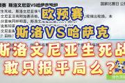 开云体育平台APP-爱尔兰-险胜斯洛文尼亚，欧预赛晋级强的简单介绍