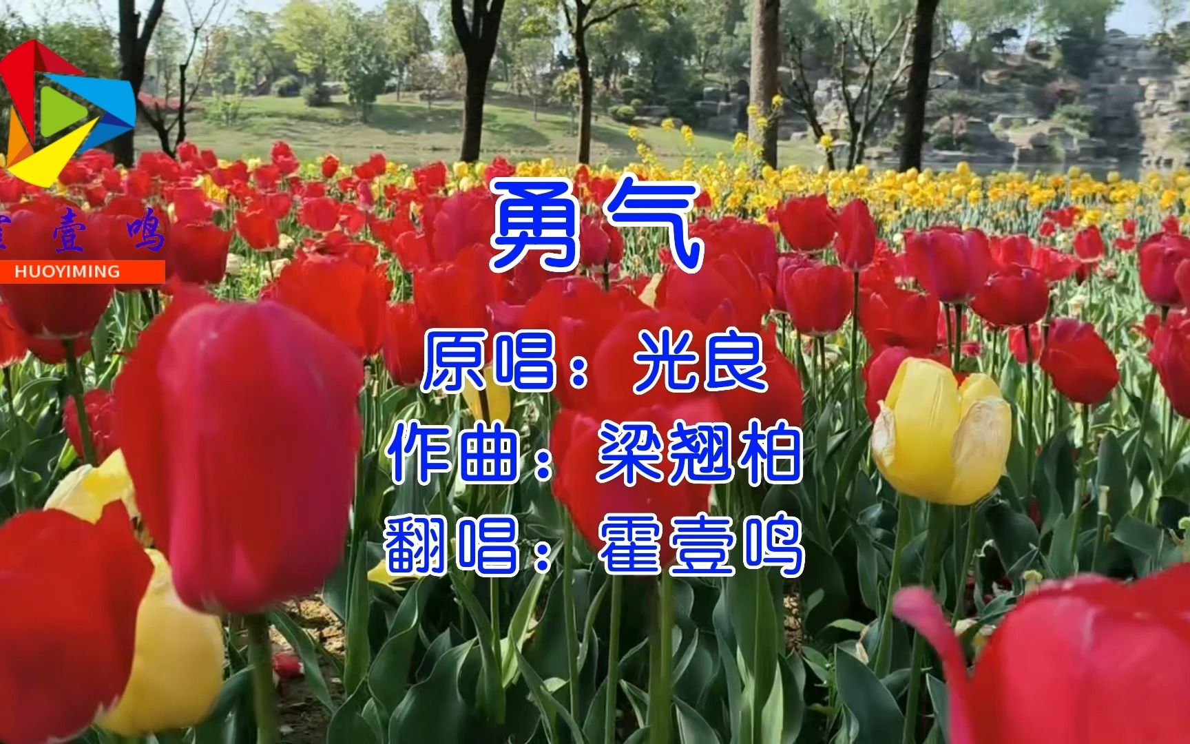 勇敢拼搏：冠军震撼故事传奇的简单介绍