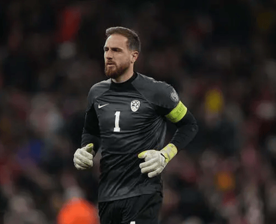 斯洛文尼亚在欧预赛中占据上风